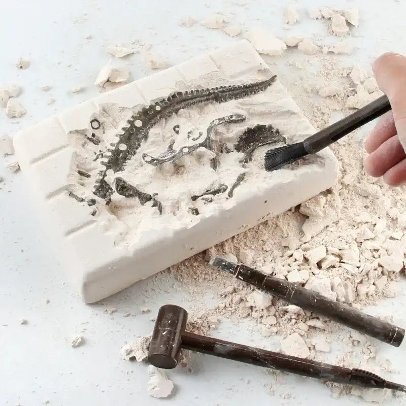 Dinosaur Fossil Excavation Kit for Kids