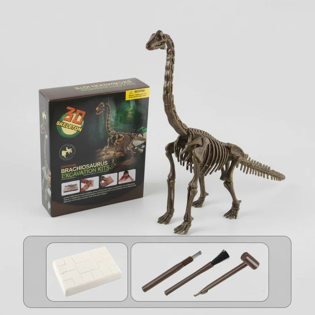 Dinosaur Fossil Excavation Kit for Kids